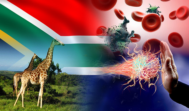 G. Afrikalı ilaç üreticisi immunoglobin ithal etmek istiyor