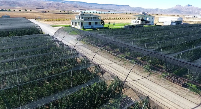 Gül Meyve, pazar payını artıracak