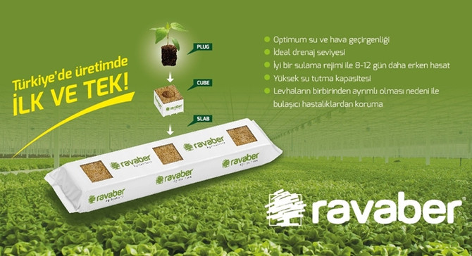Ravaber, taşyününden topraksız tarım için kolları sıvadı
