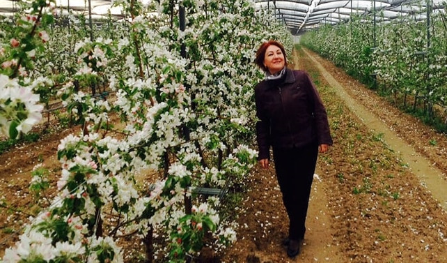 Se-Derm, meyve kurutma tesisi kurmayı planlıyor