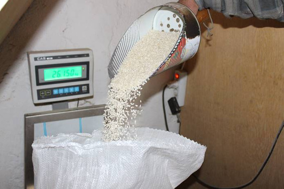 Tosya pirincine coğrafi işaret verildi