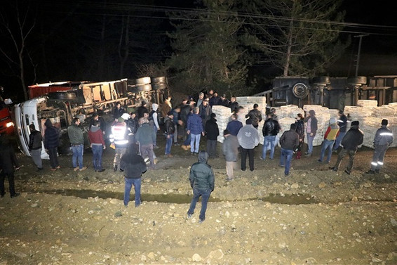 Devrilen kamyondaki tavuklar yola saçıldı