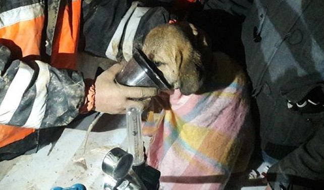 'Kuyu' 10 gün süren çalışmaların ardından kurtarıldı