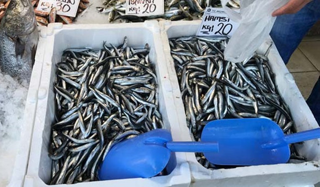 Fiyatı 20 lirayı gördü