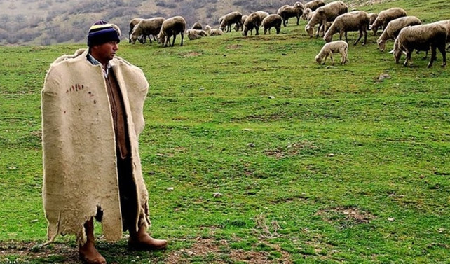 İlk kez çobanlar için fuar düzenleniyor
