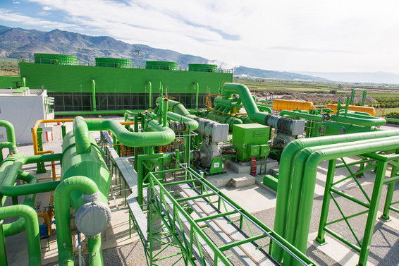 Greeneco'dan istihdam seferberliğine destek