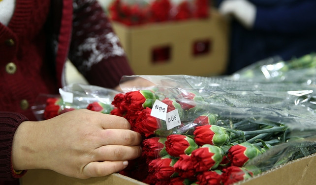 Çiçek ihracatında hedef 100 milyon dolar