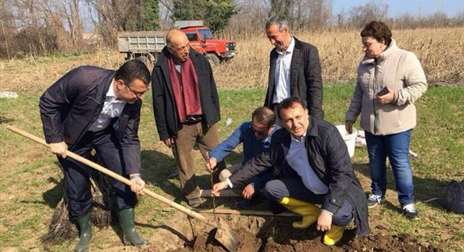 Fındık üreticisi cevizle kazancını ikiye katlayacak