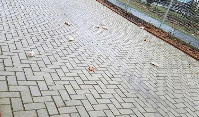 Almanya'da camiye saldırı