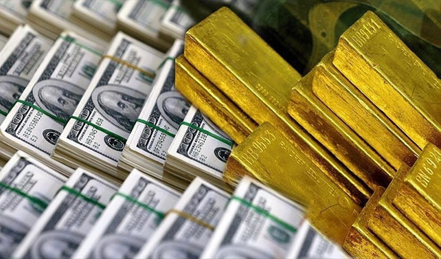 MB'nin brüt döviz rezervi 2.1 milyar dolar atttı
