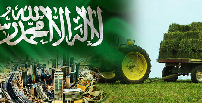 Suudi Arabistan pazarı için yonca balyası talep ediliyor
