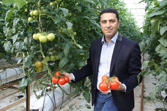 Domateste AB’nin de ithalatı durduracağı tarih yaklaşıyor