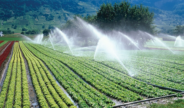 Kayseri Tarım Fuarı bugün kapılarını açıyor