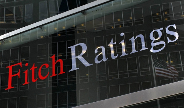 Fitch: Referandum reformlar için alan açabilir