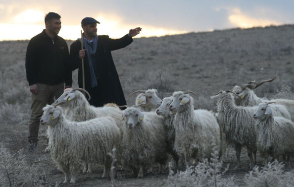 'Çobanlığın yok olmasını önleyeceğiz'