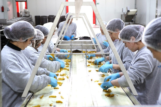 KOBİ kredileri 470 milyar liraya dayandı