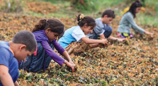 Çocuk işçiliğiyle mücadelede yeni dönem