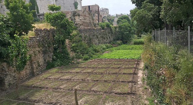 Tarihi yarımadada bir kültür vadisi: Zeytinburnu