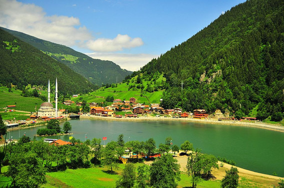 Doğu Karadeniz'de kurulan şirket sayısı yüzde 4 arttı