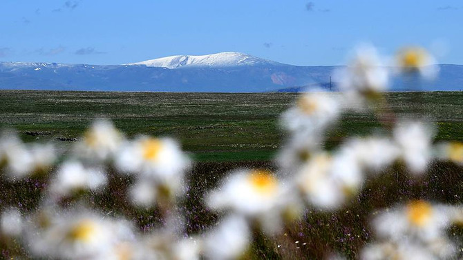 Kars'a haziran ortasında kar yağdı