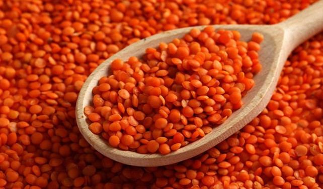 Mercimek üretimi 380 bin tona çıkacak