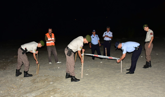 Alanya'da caretta caretta önlemi