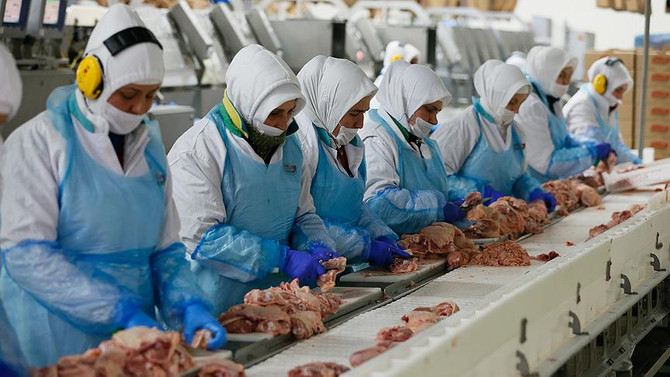 Pilicin budundan çok ayağı ihraç ediliyor