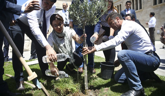 CHP'liler Meclis'e zeytin fidanı dikti