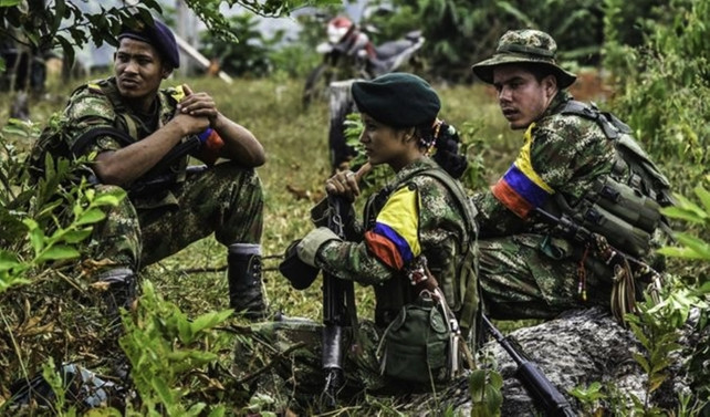 FARC silahlarının yüzde 30'unu daha teslim etti