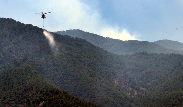 Hatay'da orman yangını