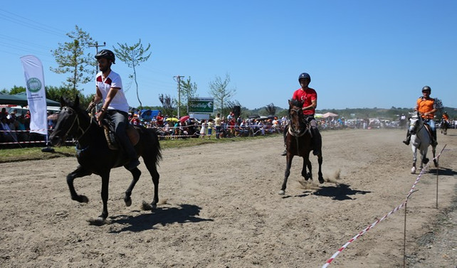 Tarihi diziler ata sporlarına ilgiyi artırdı