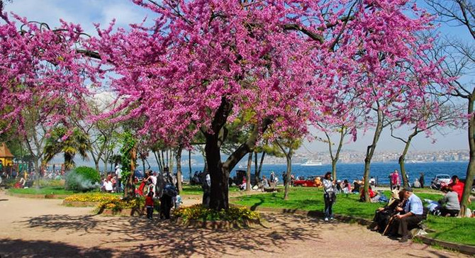 Bugün hava nasıl olacak?