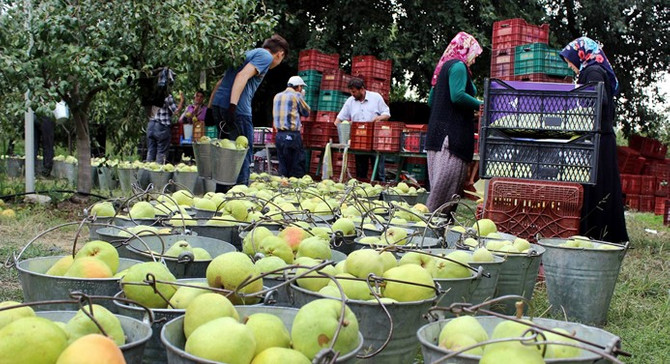 Çiftçi borçların ertelenmesini bekliyor