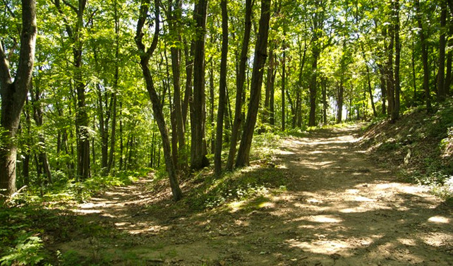 Kayapark için ilk ihale Eylül'de