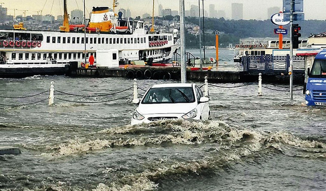 Sel için çözüm, yeşil dönüşüm