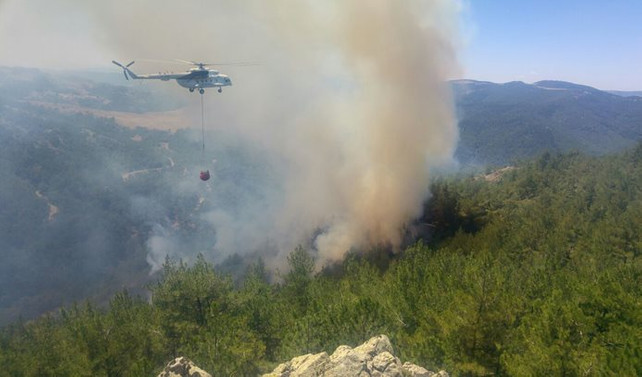 Balıkesir'de orman yangını