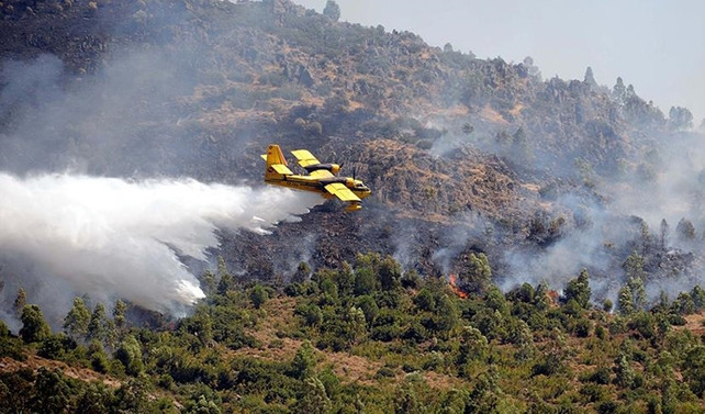 Meteoroloji'den 'orman yangını' uyarısı