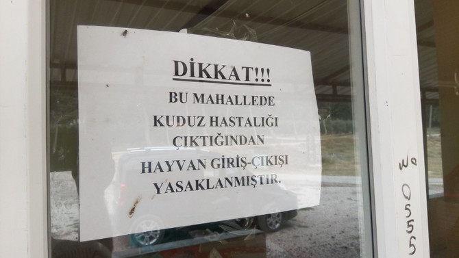 Osmaniye'de kuduz karantinası