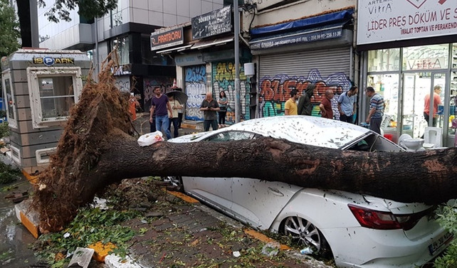 zorunlu sigortada serbest piyasa yoksa