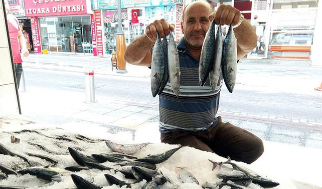 Sezonun ilk palamutları tezgaha düştü