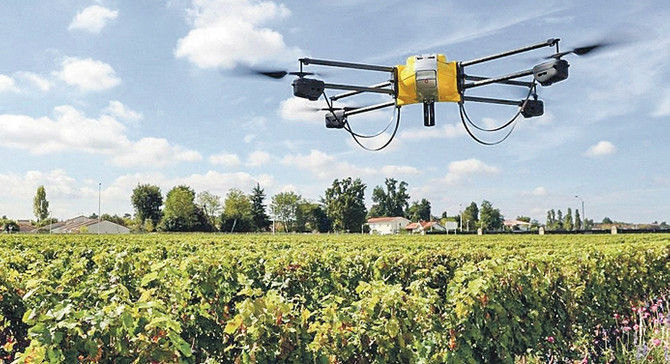 Günde 100 bin ağaç diken dronelar