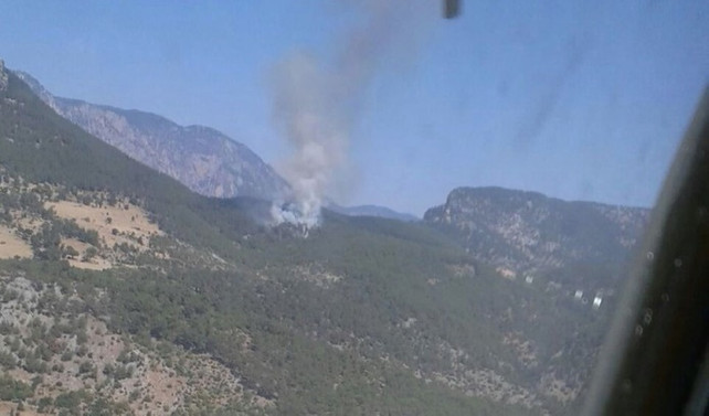 Adana'da orman yangını