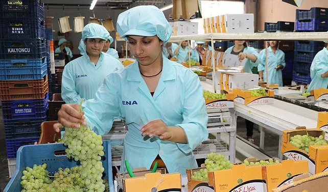 Rusya ve Avrupa'ya üzüm taşıyan tırlar yola çıktı