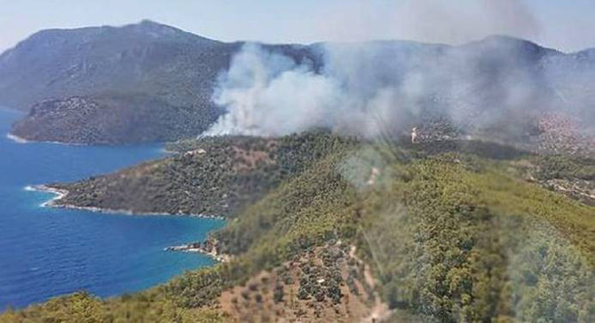 Muğla'da orman yangını