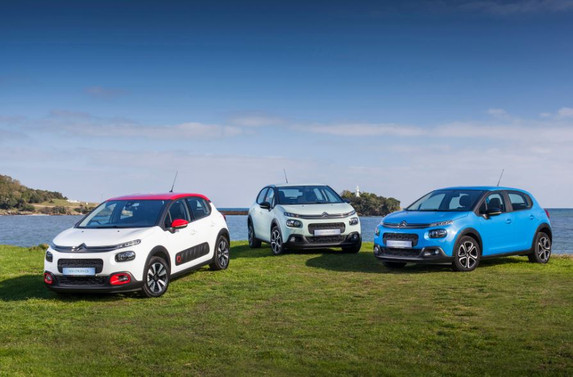 Citroen servislerinde yüzde 20 indirim fırsatı