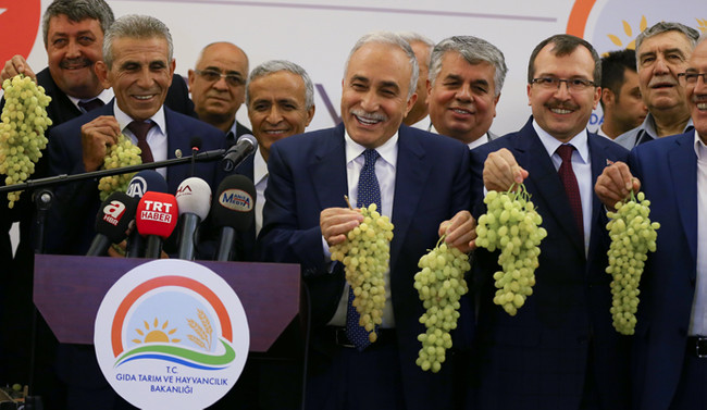 Fakıbaba: Üzüm suyu milli içeceğimiz olacaktır