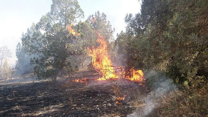 Ev yangını ormana sıçradı