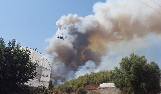 Antalya'da ormanlık alanda yangın
