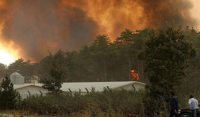 Bolu'da yangın nedeniyle mahalle boşaltıldı