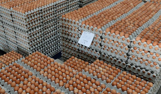En yüksek artış yumurta fiyatlarında